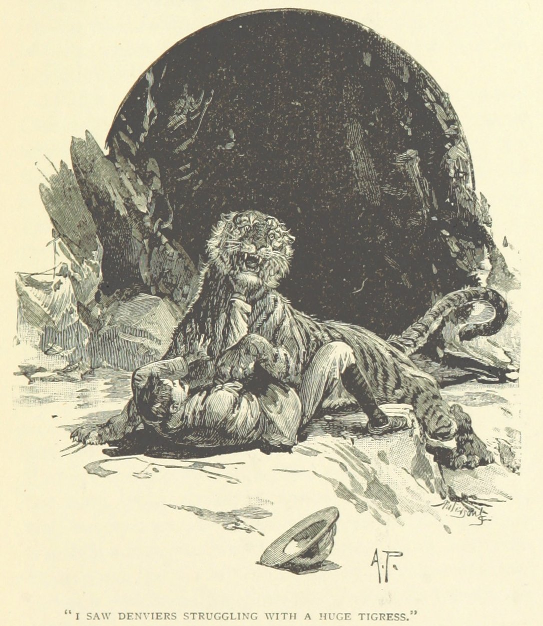 Tigress, from the Collection of the British Library